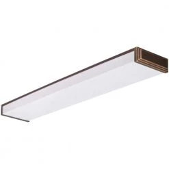 10648RE BZ Riser 2-Light Black Bronze Fluorescent Ceiling Light by Lithonia Lighting