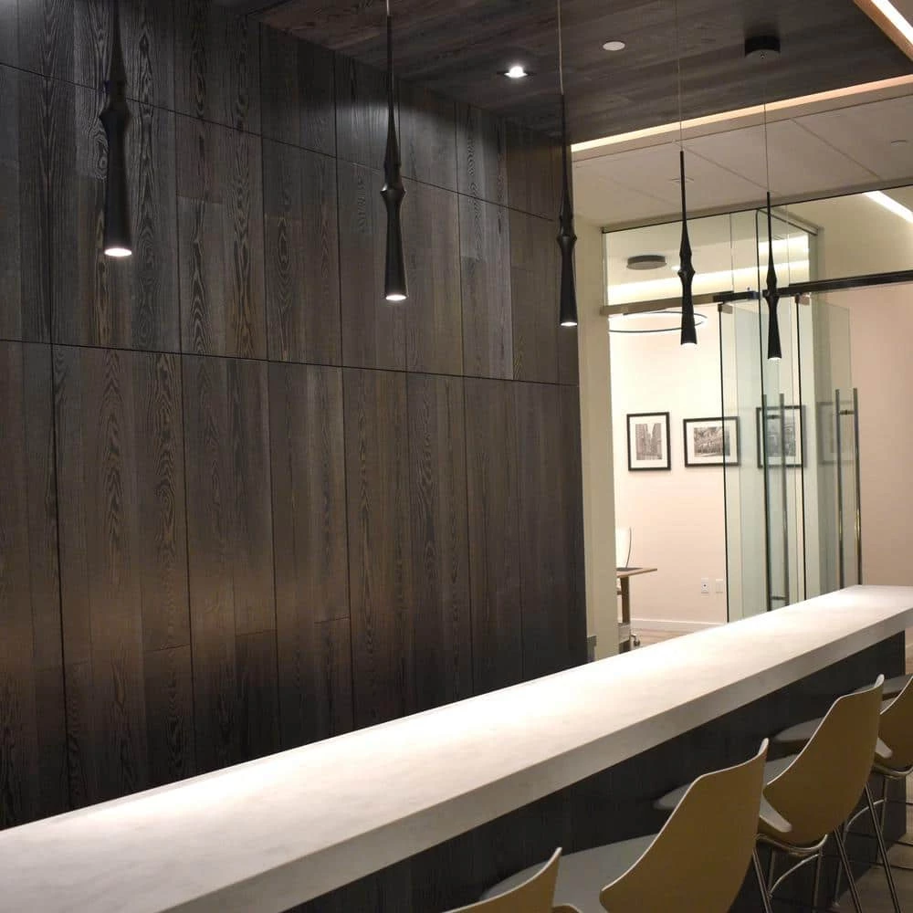 Polaris VMP26710BL 6-Watt Black Integrated LED Pendant With 2.25 in. Wide LED Light by VONN Lighting - Image 5