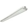 Tandem 4 ft. 2-Light Fiberglass Housing Non-Hooded Strip Light by Lithonia Lighting