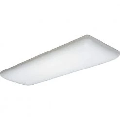 4-Light White Fluorescent Ceiling Light by Lithonia Lighting